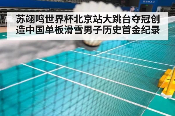 苏翊鸣世界杯北京站大跳台夺冠创造中国单板滑雪男子历史首金纪录