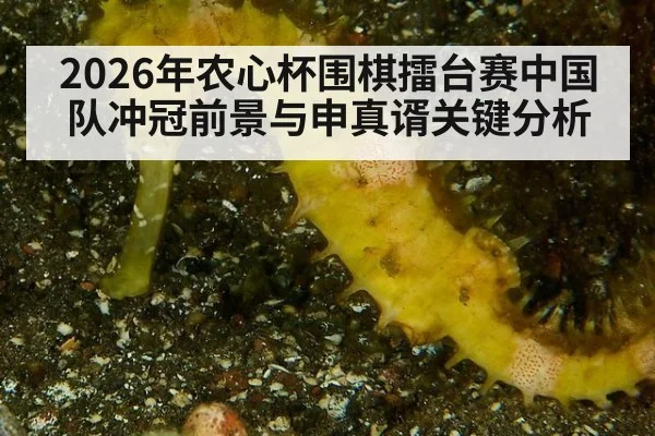 2026年农心杯围棋擂台赛中国队冲冠前景与申真谞关键分析